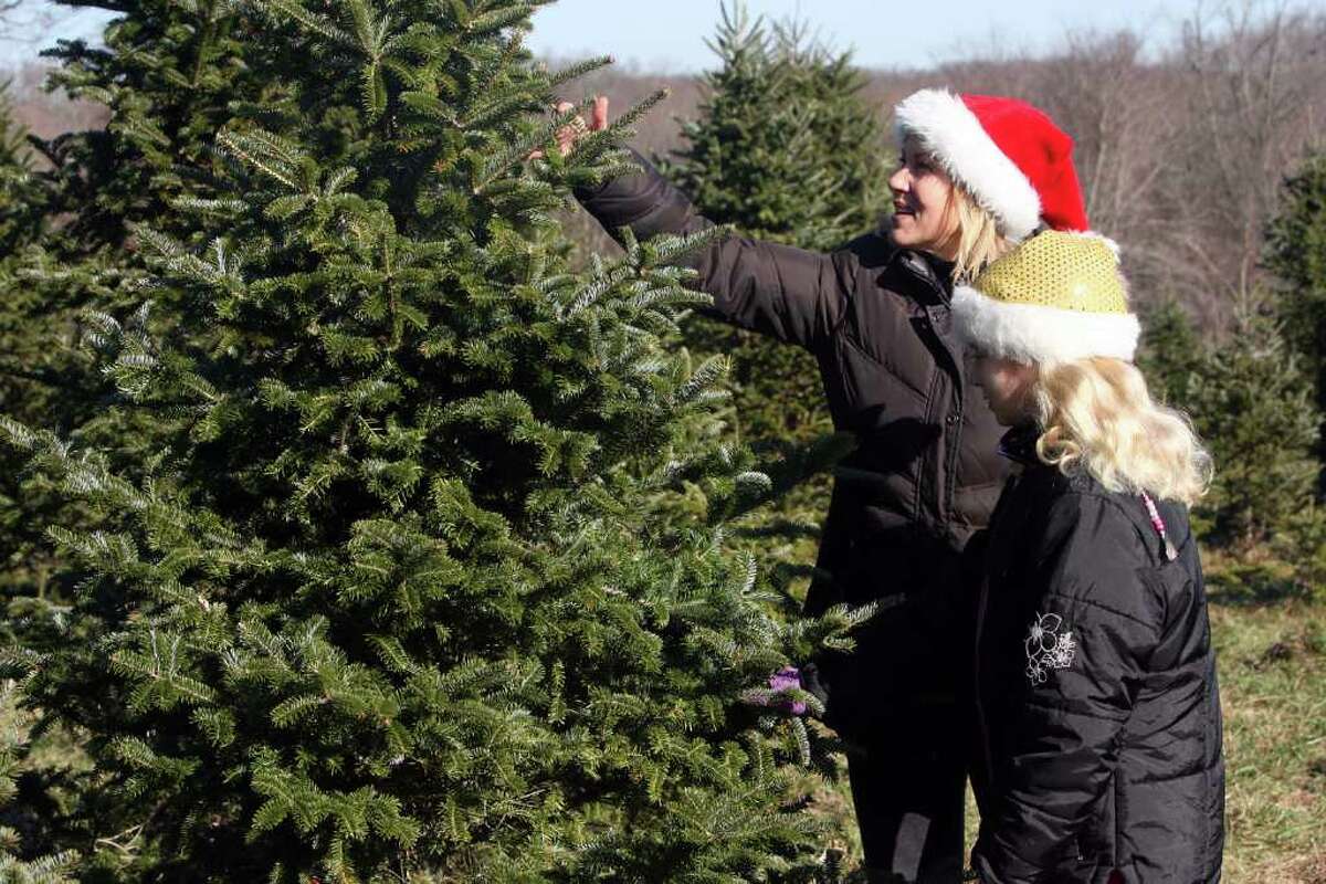 Christmas tree farmers aim to boost sales via social media