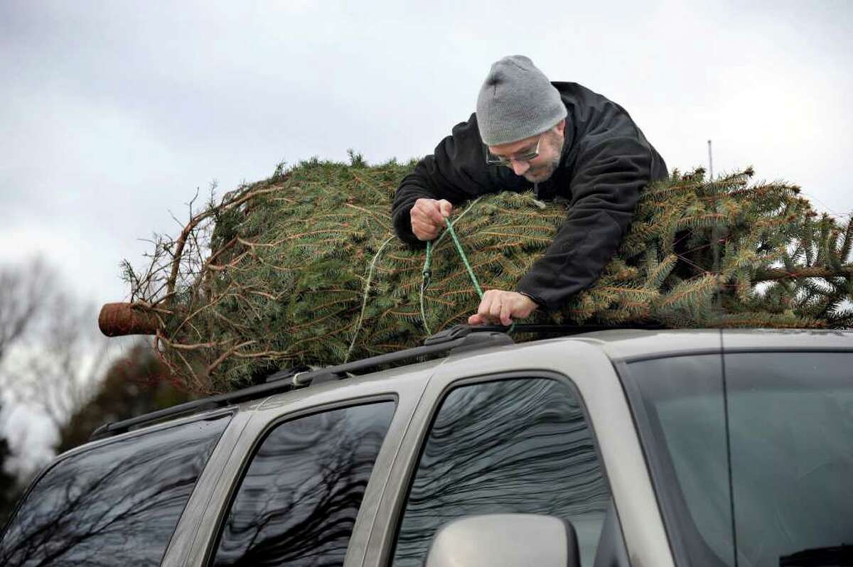Christmas tree farmers aim to boost sales via social media