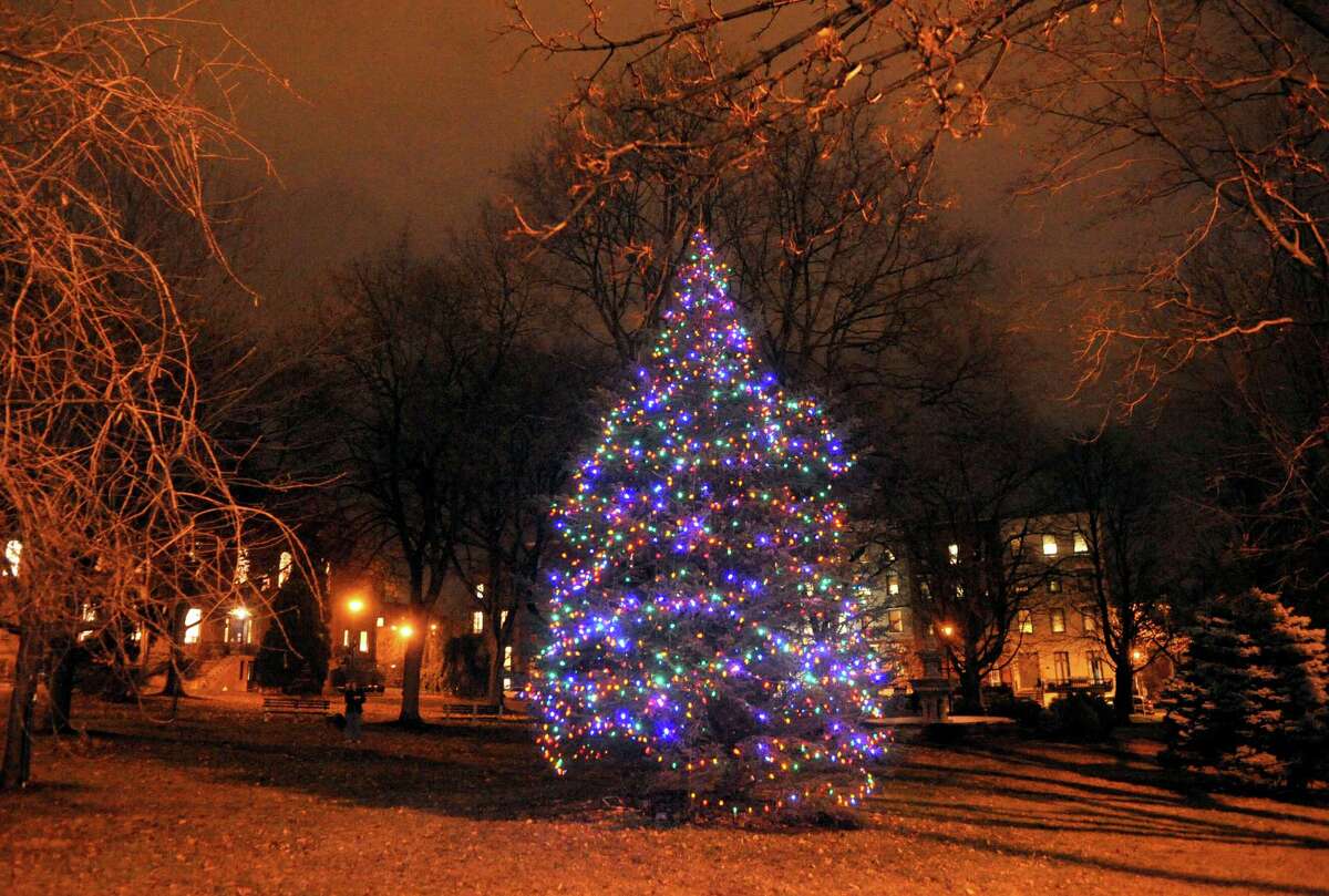 Photos Albany treelighting