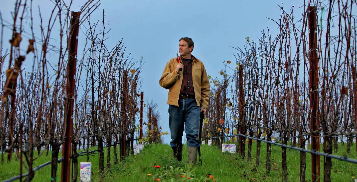 Ted Lemon of Littorai Wines strides through his Sebastopol vineyards. For decades, he has sought to define great Pinot Noir in a uniquely Californian context.