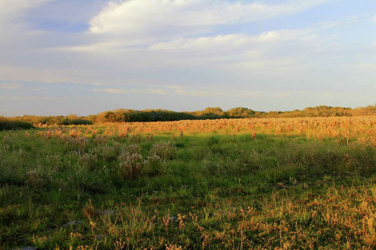 A coastal prairie at Powderhorn Ranch, in Calhoun County.