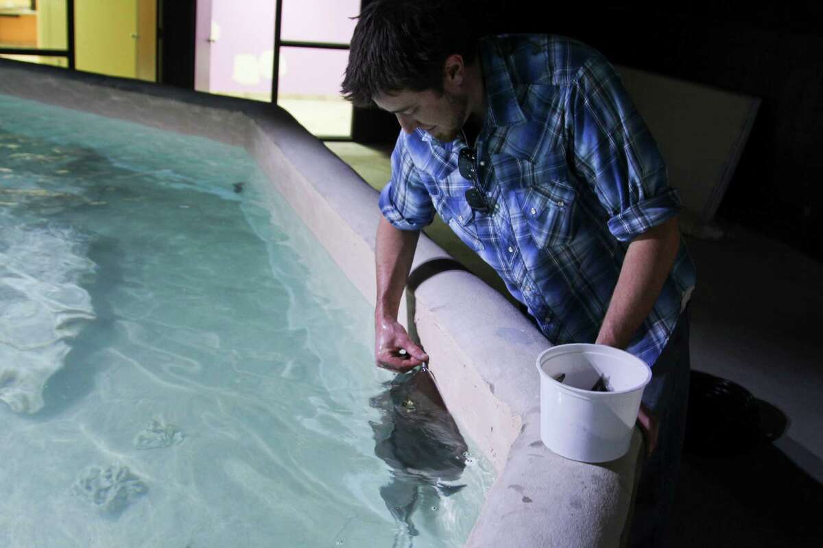 The San Antonio Aquarium was shut down temporarily for code violations on Nov. 28, 2018.