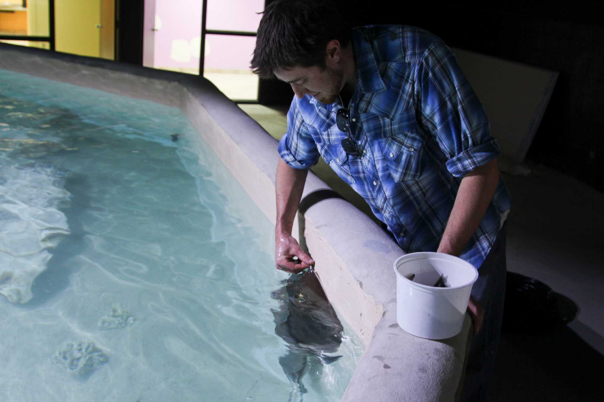 San Antonio Aquarium shut down by fire department after multiple code