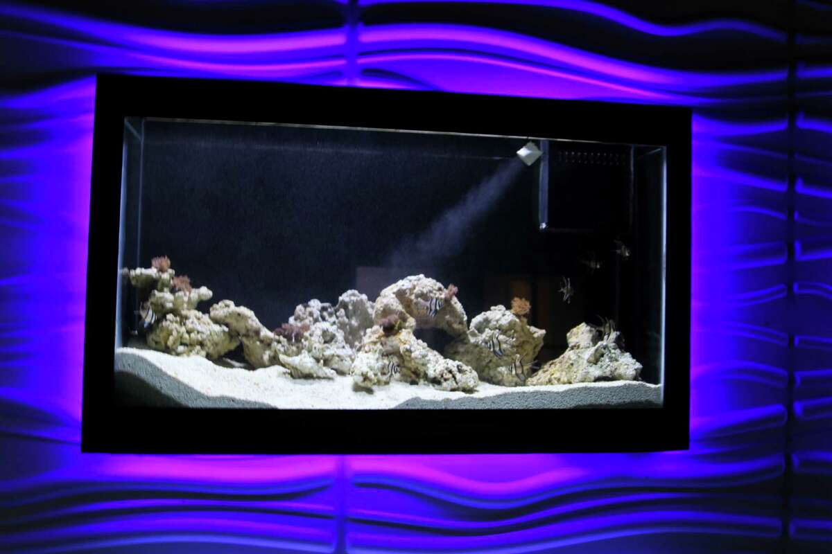 San Antonio Aquarium opens