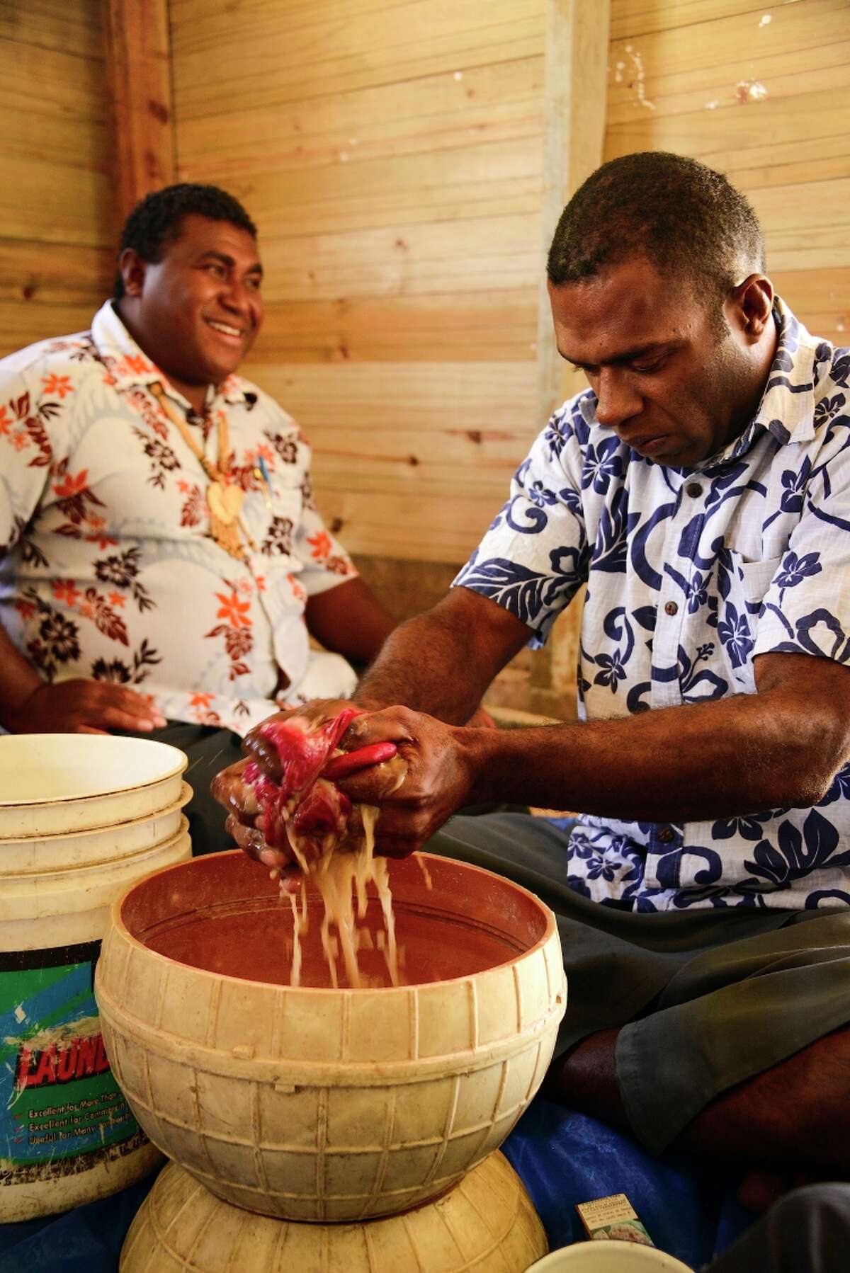 Left: Kava, Fiji’s national drink, is made from the pulverized root of a member of the pepper family.