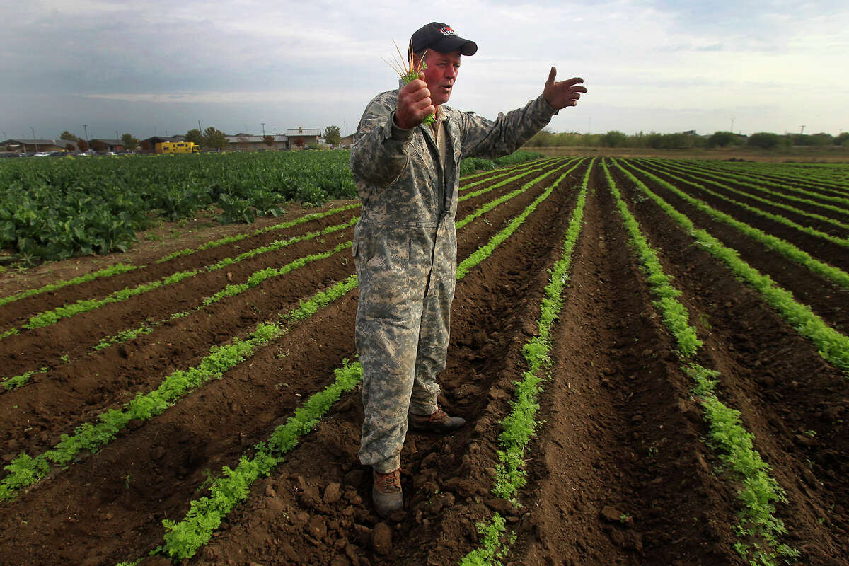 Vegetable growers nourish people, economy