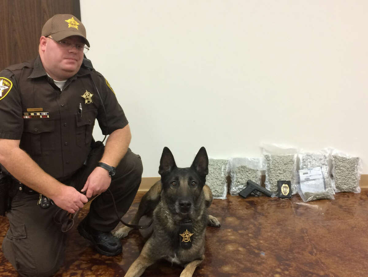 Brazoria County police dog Erko, with his handler Investigator Matt West. The two busted $22,000 worth of marijuana Thursday, the dog's last day of work before he retires.