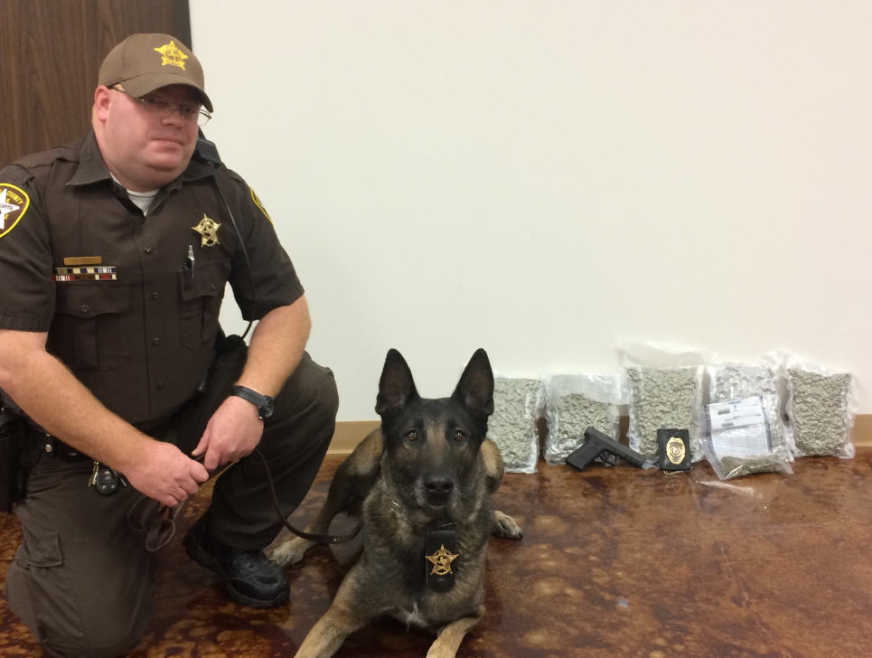 Pearland police dog retires with one last huge marijuana bust