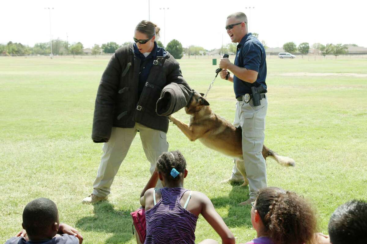 Sid, the Belgiun Malinios police dog, demonstrates an attack on K-9 officer Mollie Pehl Wednesday while she and officer Chad Simpson showcase what their dogs do on the job to a group of kids from the Casa de Amigos camp. Chaney Mitchell/Reporter-Telegram