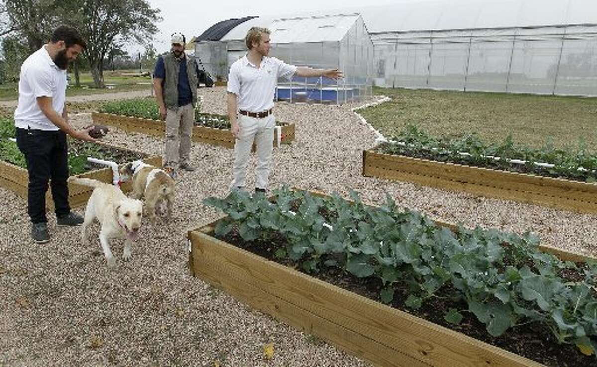 Houston natives' aquaponics farm is growing