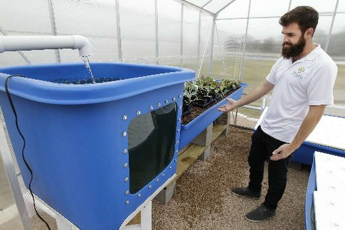 Houston natives' aquaponics farm is growing