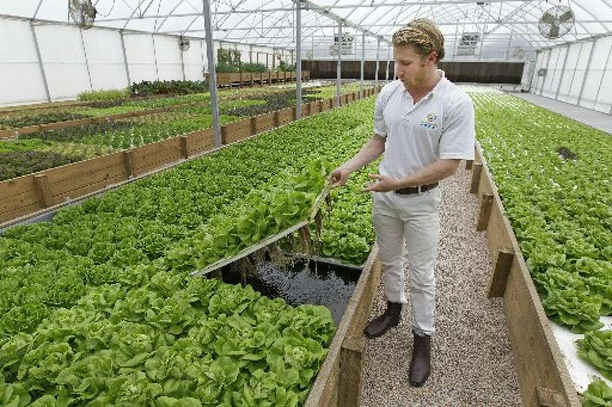 Houston natives' aquaponics farm is growing