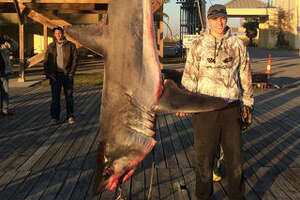 Huge mako shark caught in the Gulf