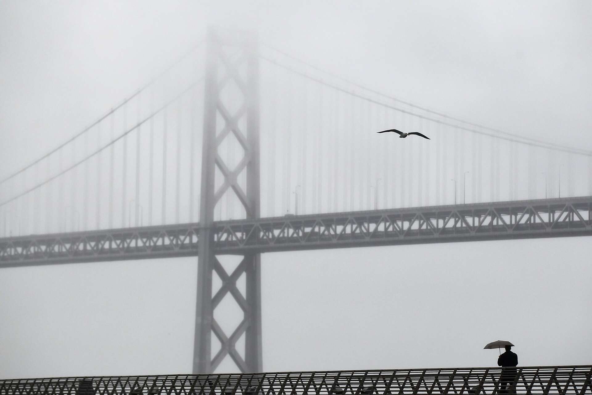 Lightning over the Golden Gate Bridge - Michael Shainblum Photography, image size:1920x1281