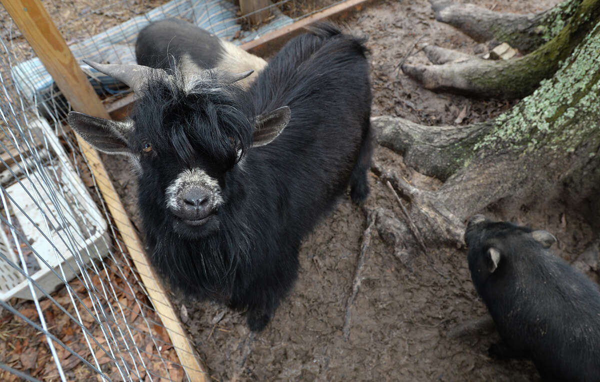 2014 A year in review from an Enterprise Photographer