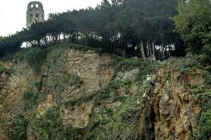 City chips away below Coit Tower to stabilize hill’s slope