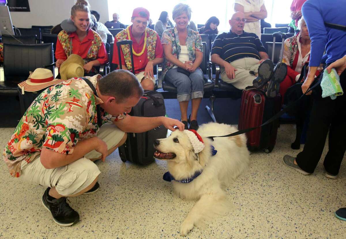 United provides comfort dogs to ease holiday travel stress at IAH