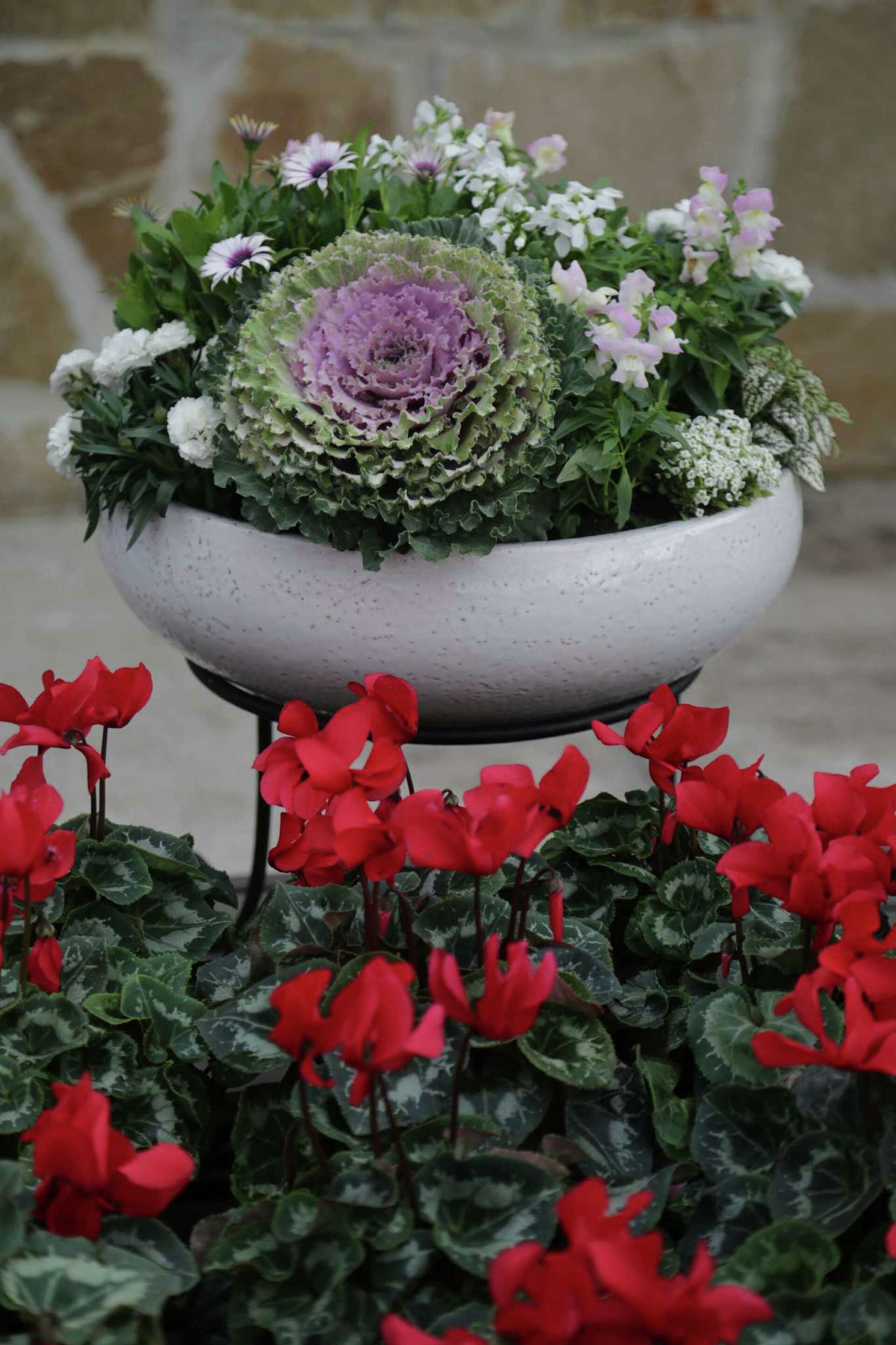 Create an instant landscape in a winter container garden