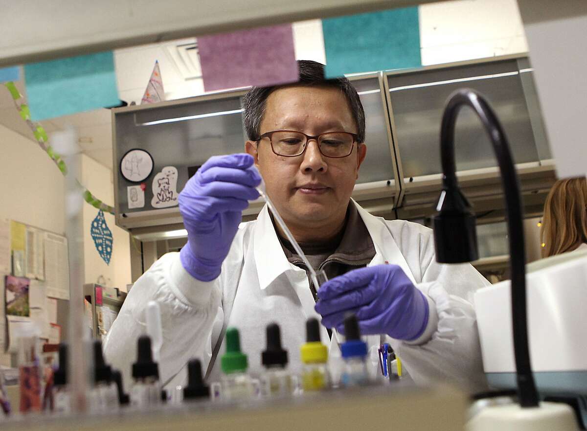 Reference lab clinical laboratory scientist Joseph Ong does patient antibody identification at Blood Centers of the Pacific in San Francisco, Calif., on Thursday, December 4, 2014.