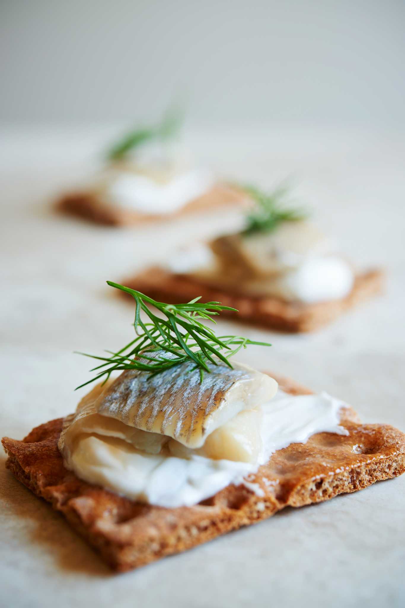 Pickled herring on rye? Must be holiday time!