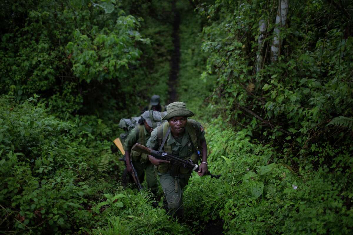 Park rangers hike down from their outpost on the Nyiragongo volcano in the Virunga National Park, where environmentalists are opposing oil drilling, in the Democratic Republic of Congo, Oct. 8, 2014. Much like the fight over drilling on federal lands in the U.S., the struggle over oil exploration in AfricaÃ©¢Ã©Ã©´s national preserves is a classic quandary, pitting economic development against environmental preservation. (Uriel Sinai/The New York Times)