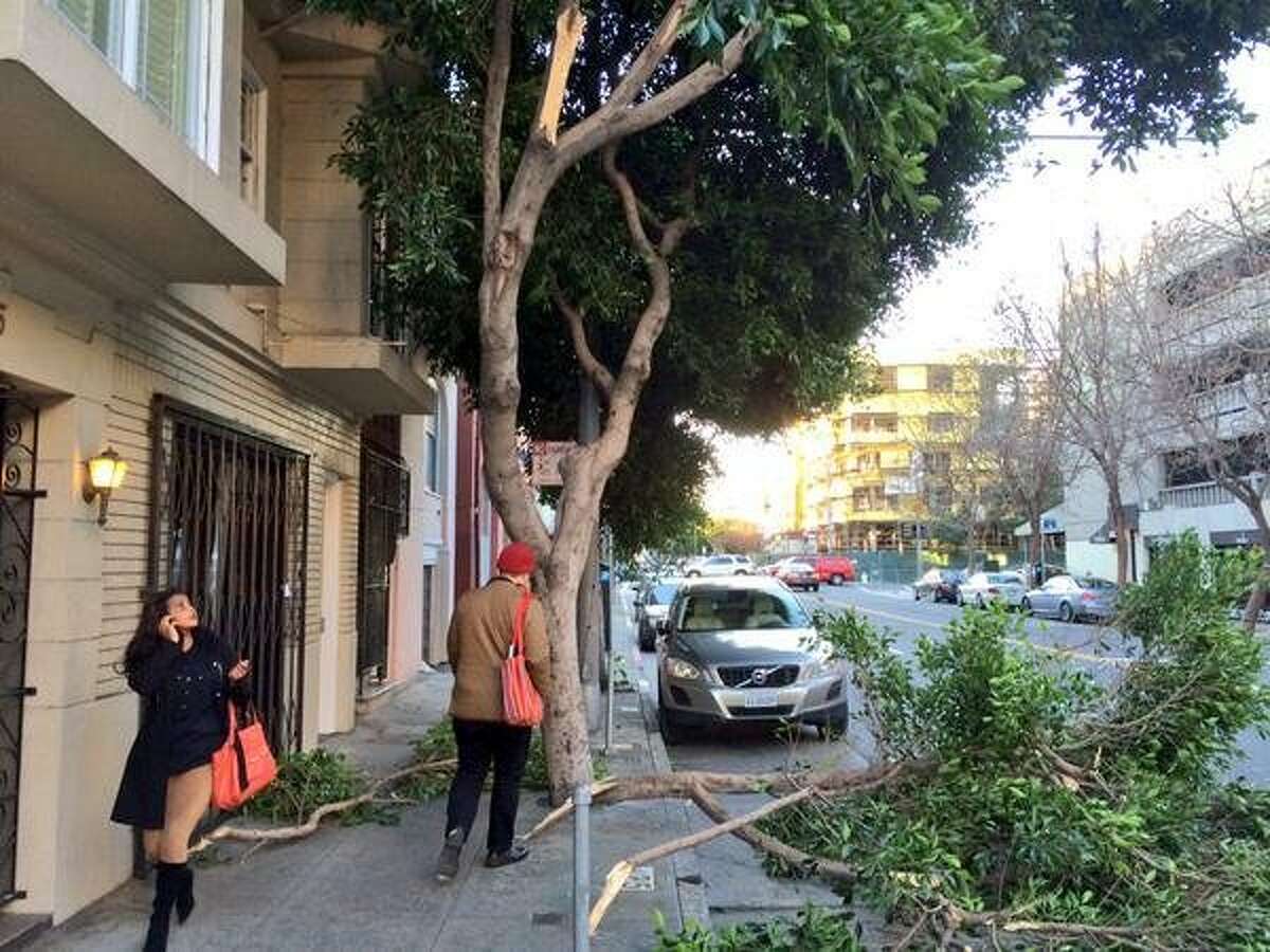 Tree limbs fall near pedestrians on Hayes Street near Van Ness Ave. during a wind storm in San Francisco on Tuesday, Dec. 30, 2014.
