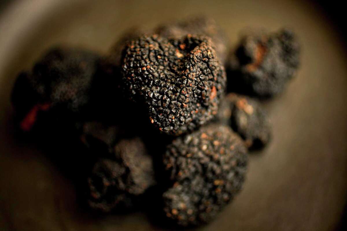 Chefs accept the challenge of the truffle