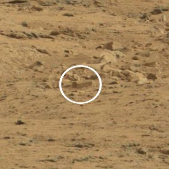 real pictures of aliens on mars