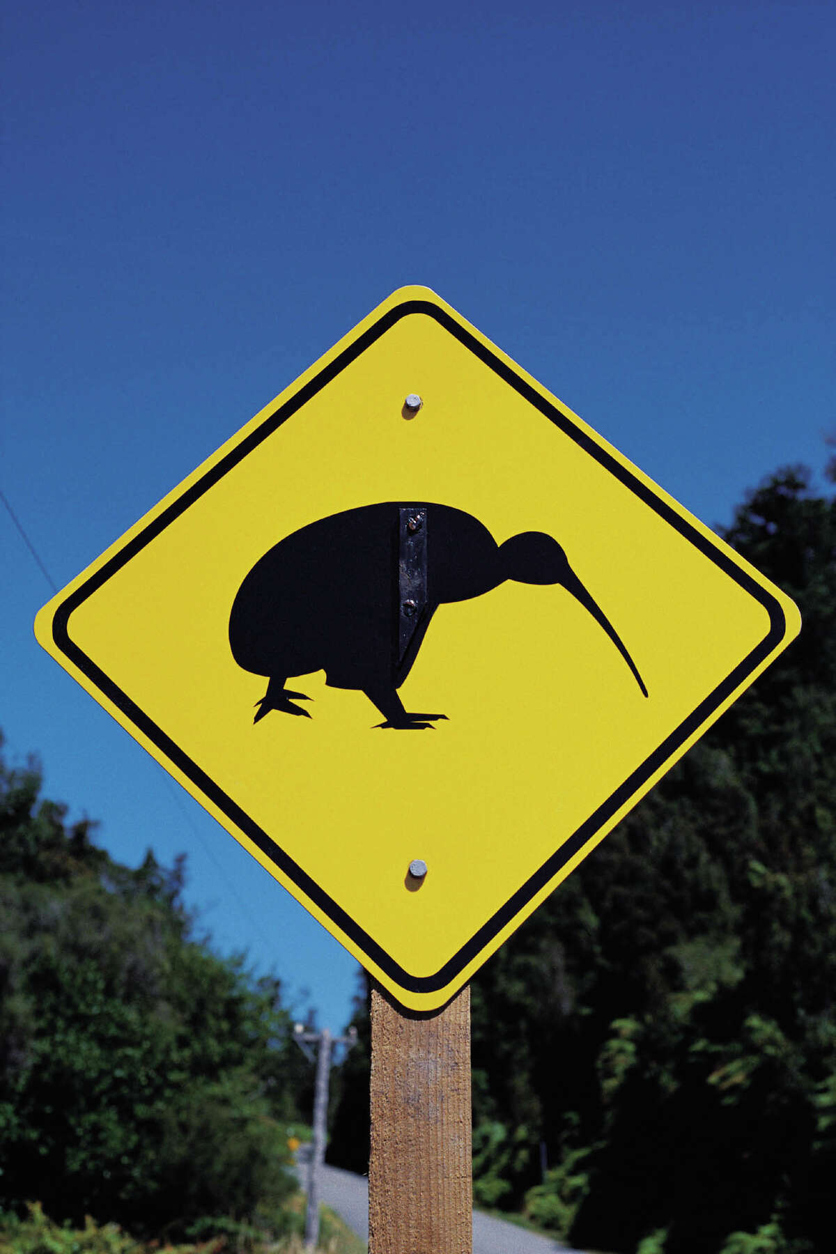 10. The New Zealand air forceâs mascot is the kiwi bird. Why is this unlikely to engender fear and respect among the nationâs enemies?