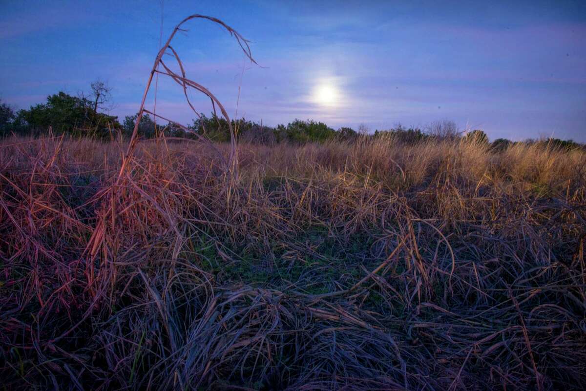 A full moon rises over a patch of winter grass at Government Canyon State Natural Area in San Antonio, Tx. on Sunday, January 4, 2014. San Antonio City Council will soon vote on whether or not to annex additional lands in the property mid January.