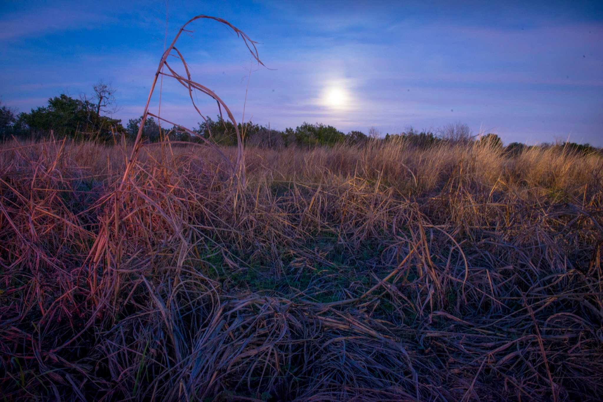 Soon, All Of Government Canyon State Natural Area May Be In The City Limits