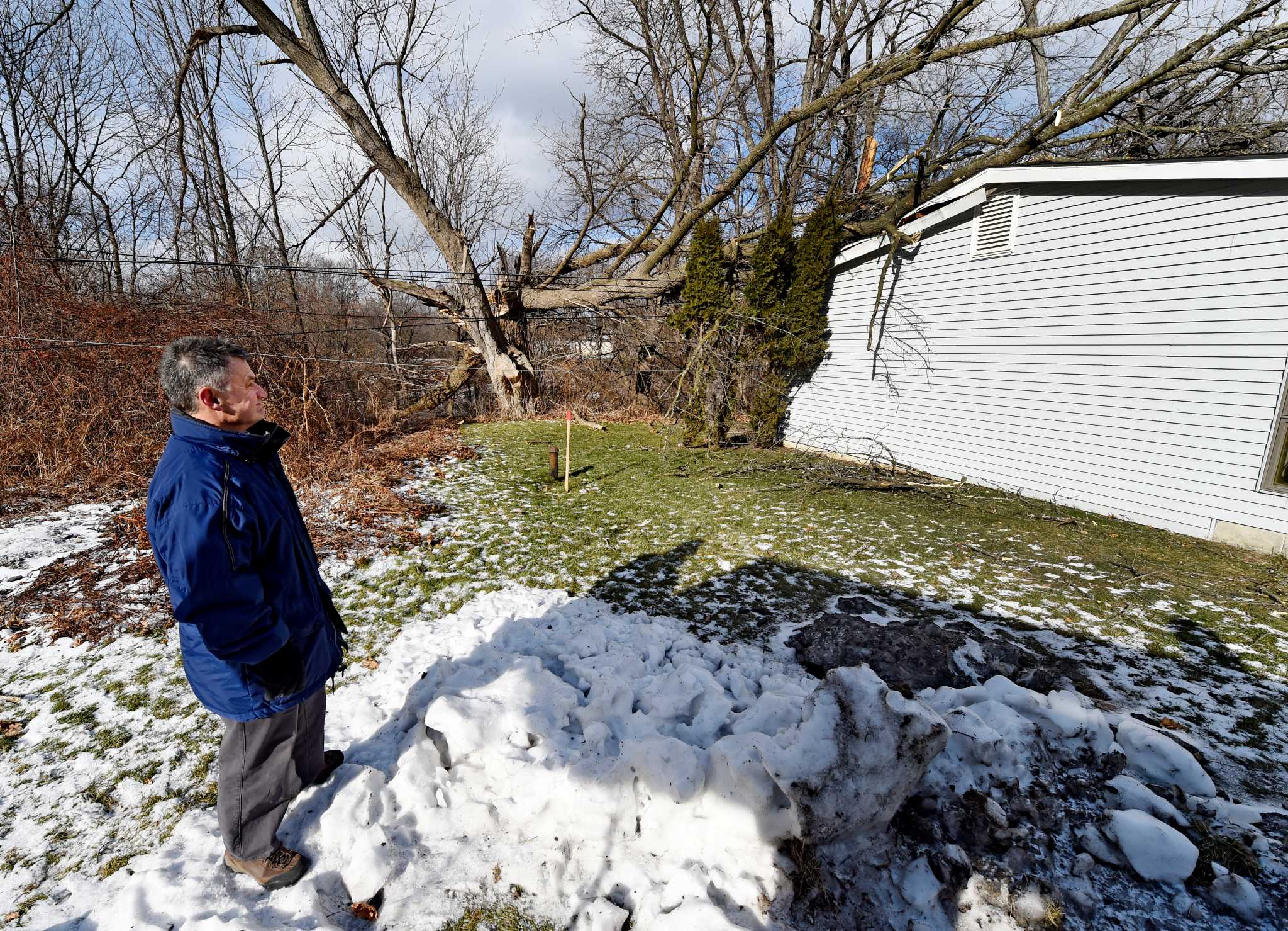 Tree downs wires, closes business