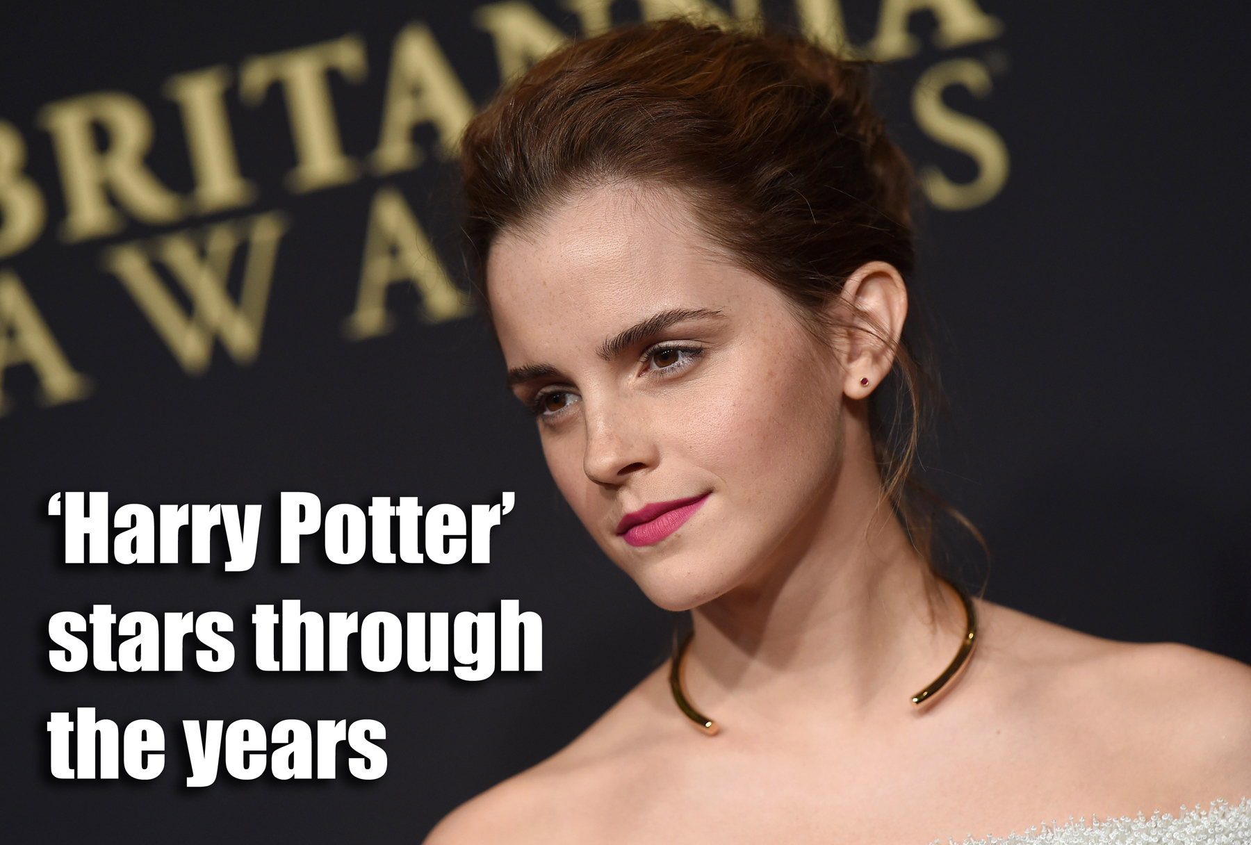 Harry potter through the years