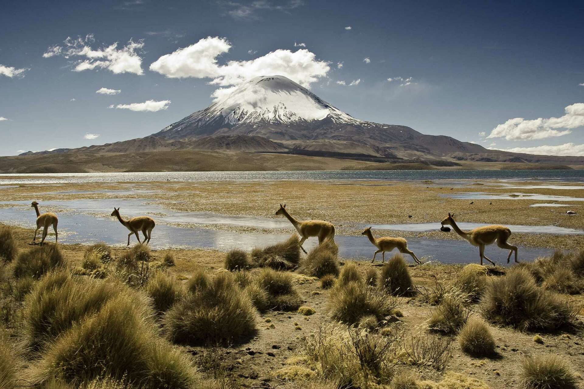 The world's top 10 best ethical destinations