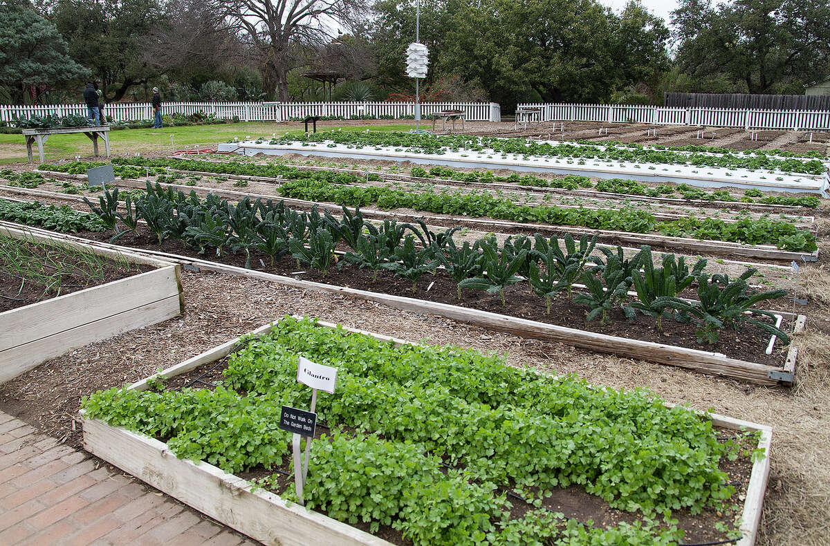 Bleak days perfect for visions of gardening