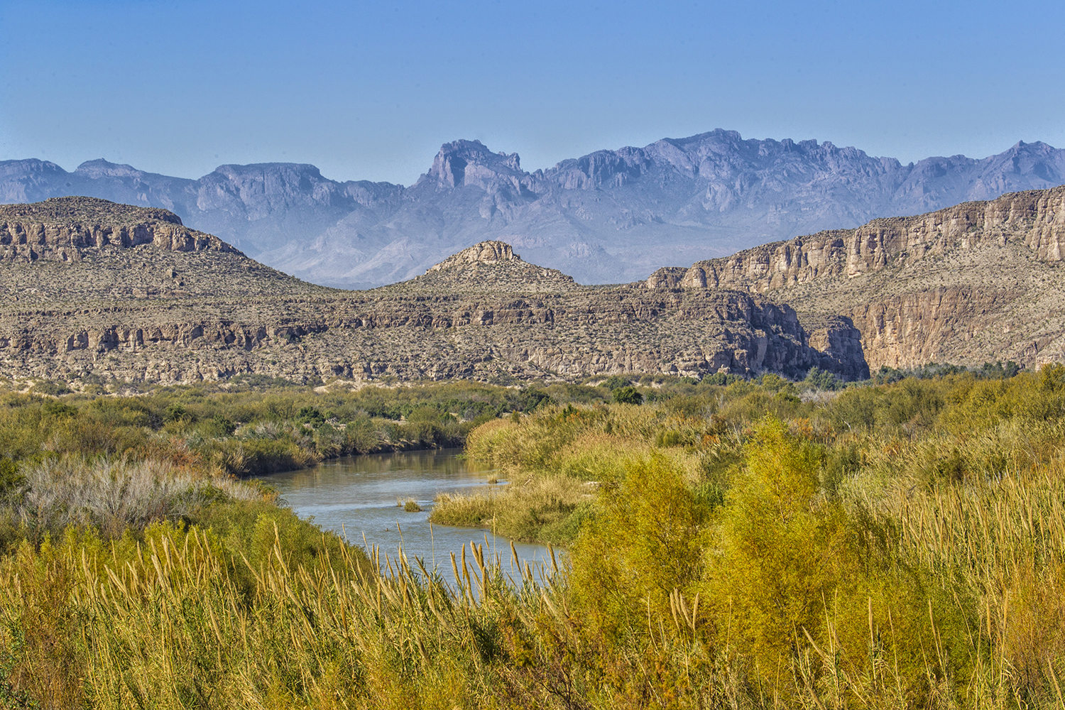 Two spectacular birds call Big Bend home in the winter