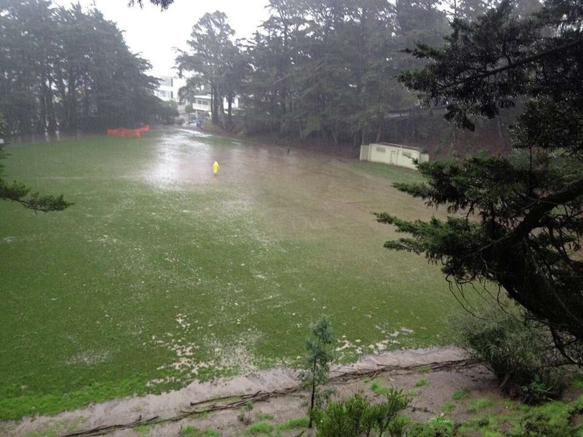 Chronicle Watch San Francisco dog park hounded by problems