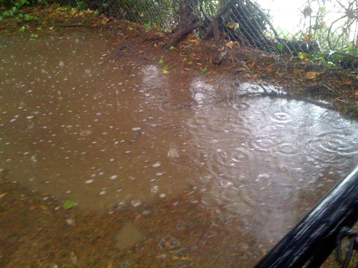 Chronicle Watch San Francisco dog park hounded by problems