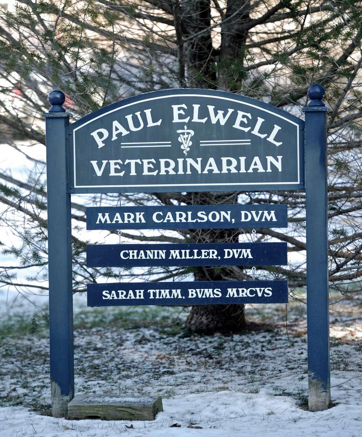 Veteran veterinarian a rare breed in Roxbury