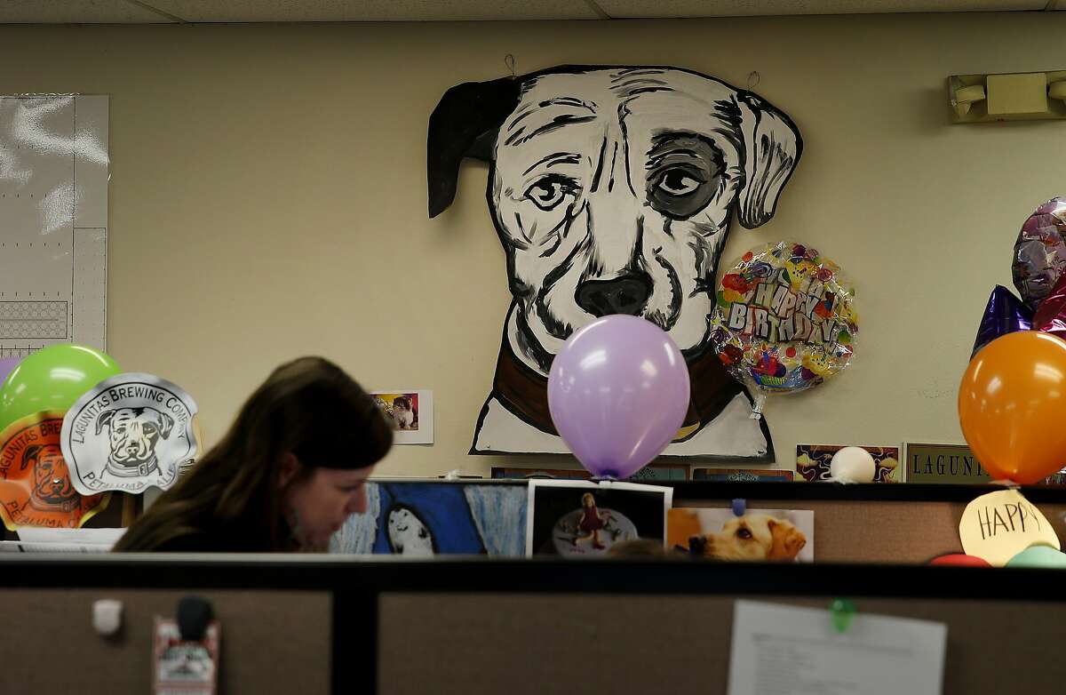 A view of the Lagunitas Brewery office area with the trademark dog illustration in the rear in Petaluma, Calif. Craft brew sensation Lagunitas Brewing Company has dropped its trademark infringement lawsuit against fellow brewer Sierra Nevada Brewing Wednesday January 14, 2015.