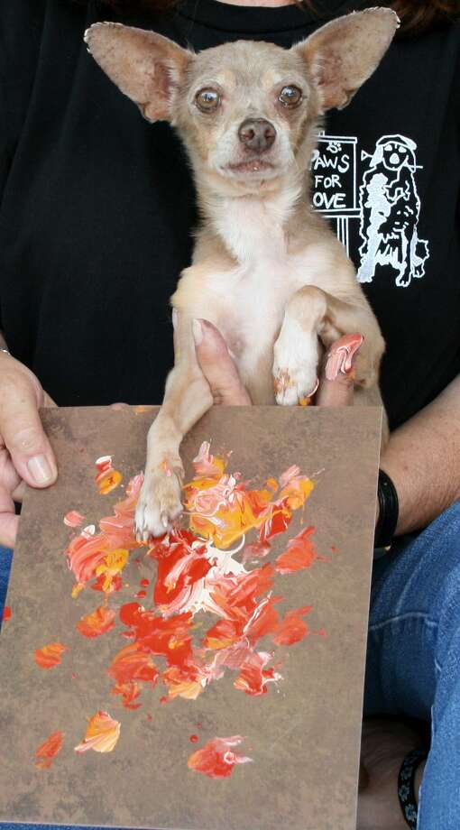 dogs painting with paws