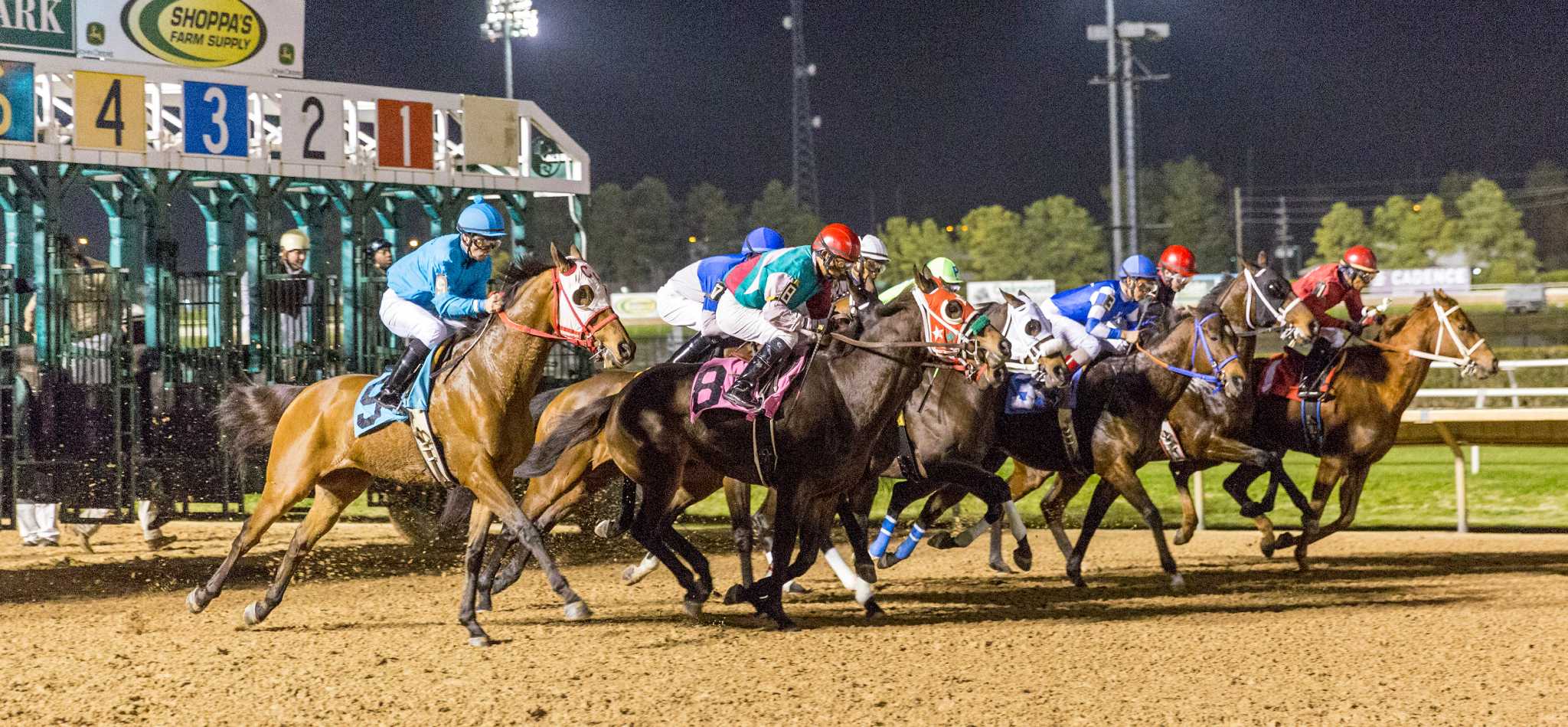 EXCLUSIVE: Mattress Mack Talks Ky Derby and Future of Horse Racing