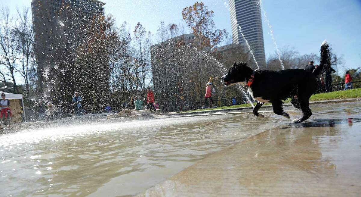 The Johnny Steele Dog Park off Allen Parkway opened on Saturday, Jan. 17, 2015 in Houston.