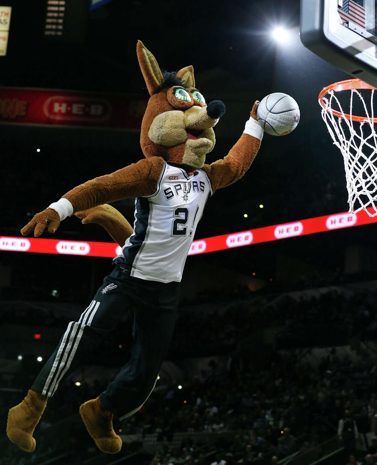 spurs coyote stuffed animal