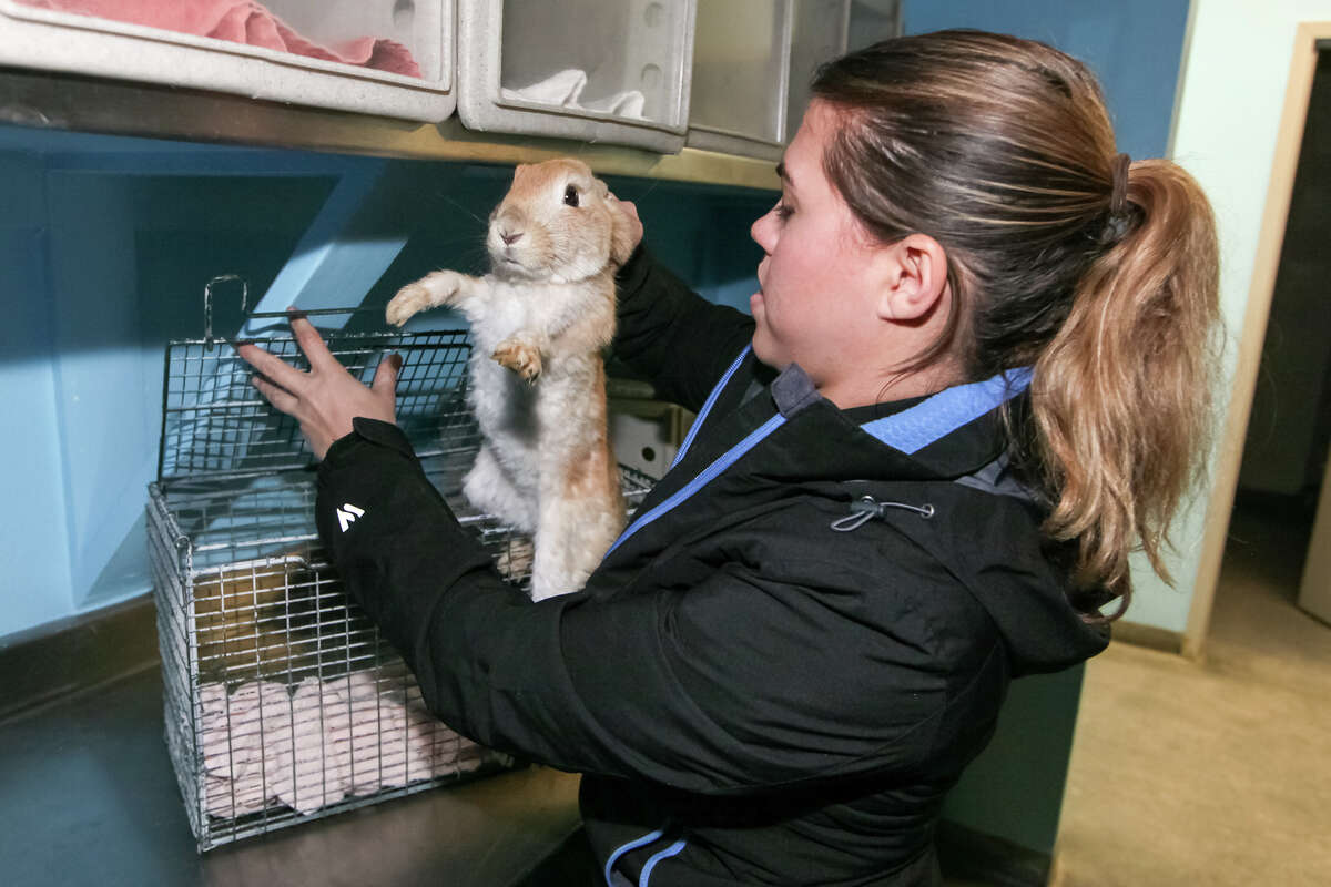 Animal Care officers put their hearts and souls into the job