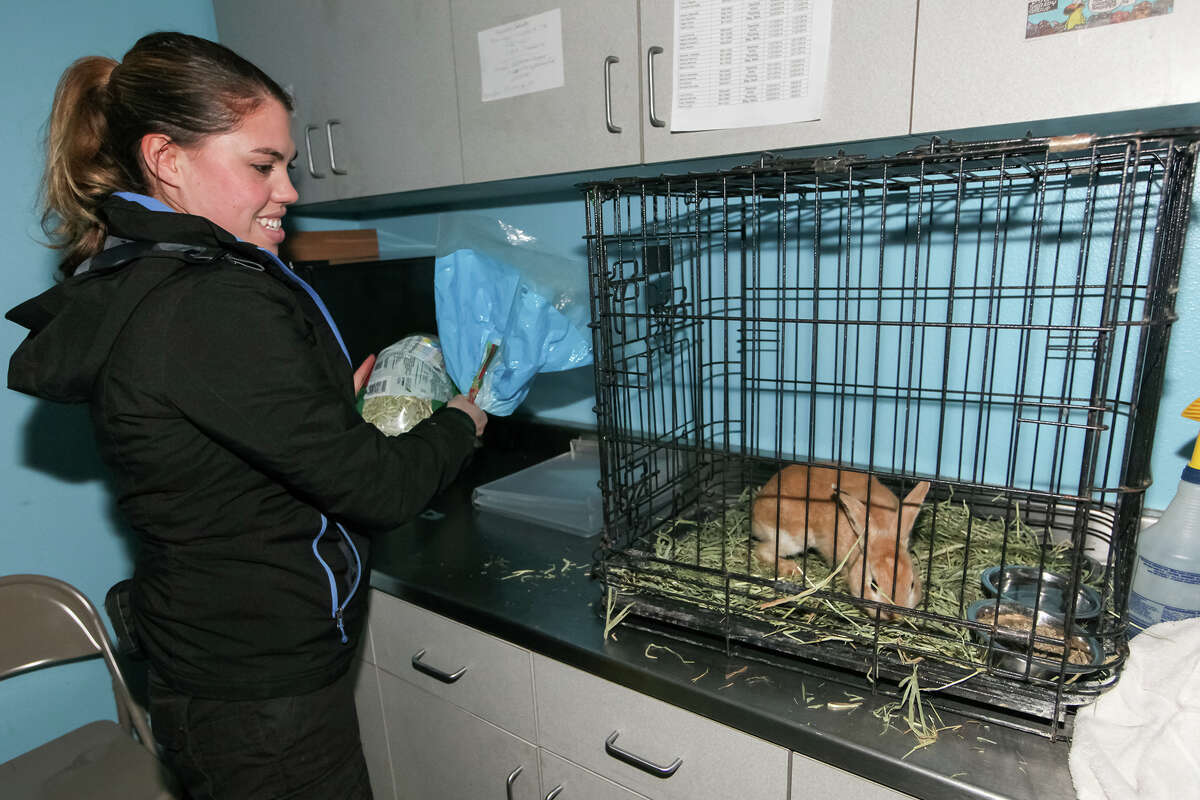 Animal Care officers put their hearts and souls into the job