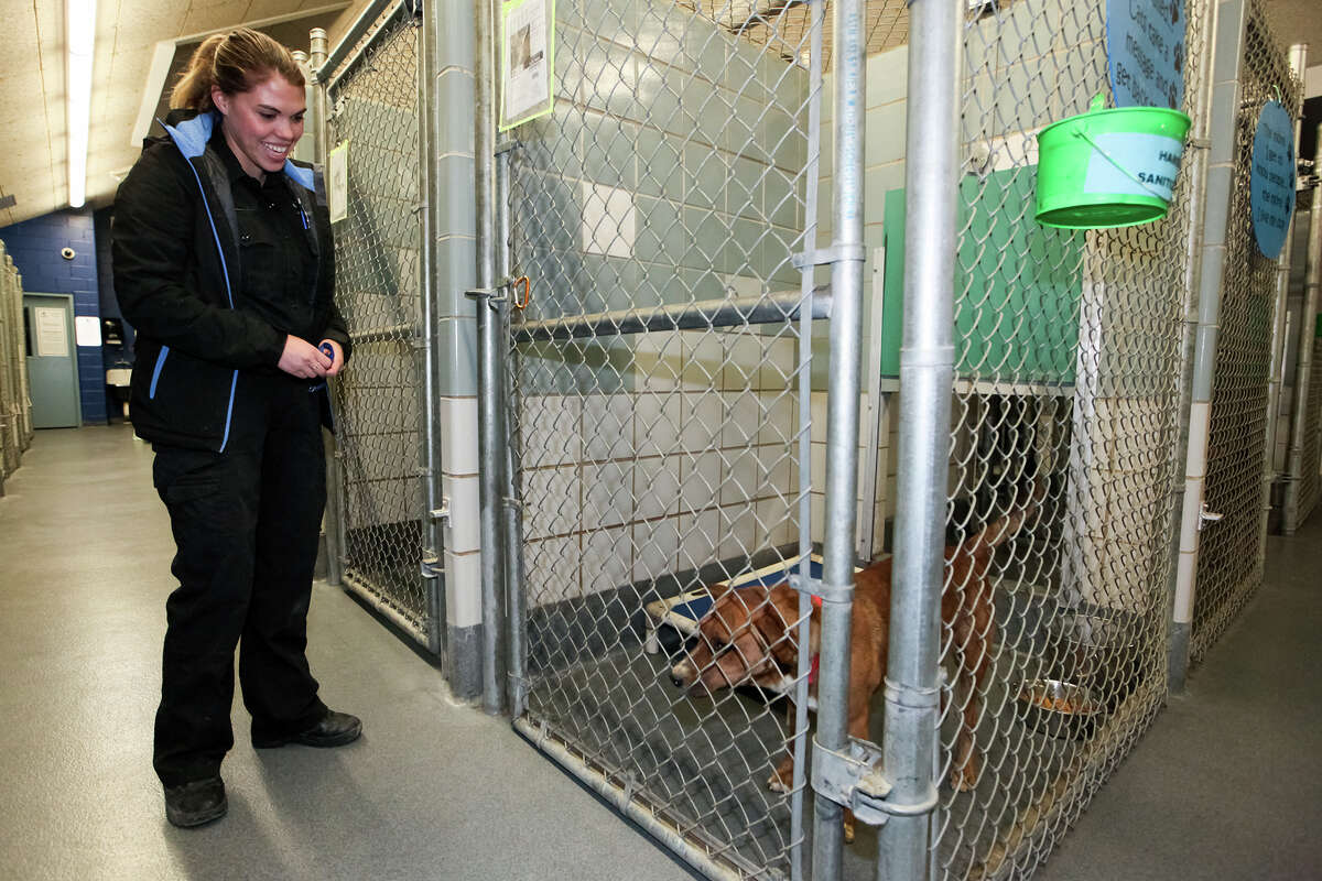 Animal Care officers put their hearts and souls into the job