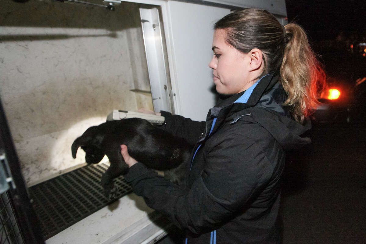 Animal Care officers put their hearts and souls into the job
