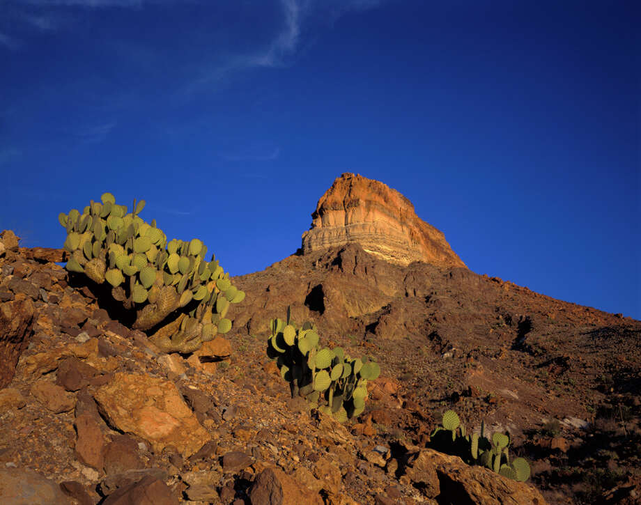 Social media celebrates snow at Big Bend National Park San Antonio