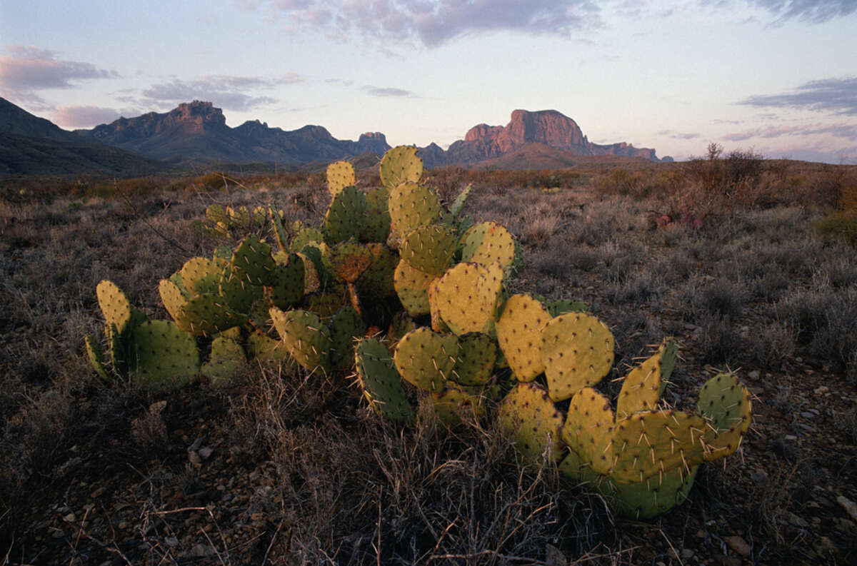 big bend national park shirts